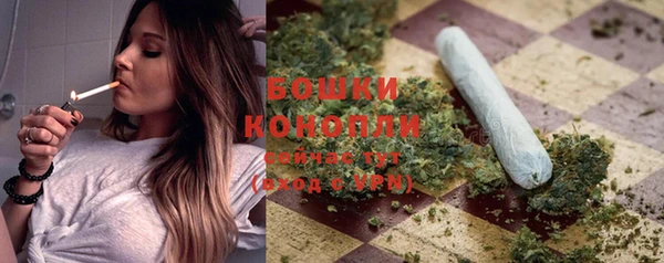 бутират Белокуриха