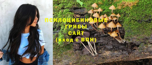 бутират Белокуриха