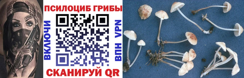 Галлюциногенные грибы Psilocybine cubensis Солигалич
