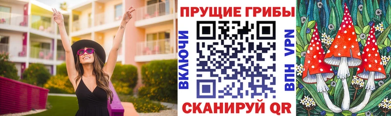 Псилоцибиновые грибы Cubensis  Купить закладки  Солигалич 