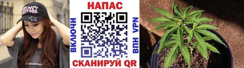Купить закладки  Солигалич  Канабис сатива 
